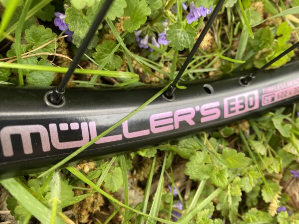 Zapletená kola 29" Müller's E30 BOOST, TLR, ořech XD, nosnost 175kg - Image 4