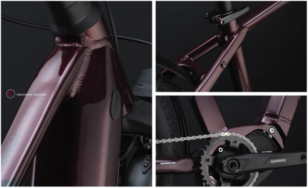 Lee Cougan Moveda - Grape Red - Image 4